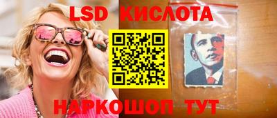 spice Новозыбков