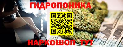 СК Новокубанск