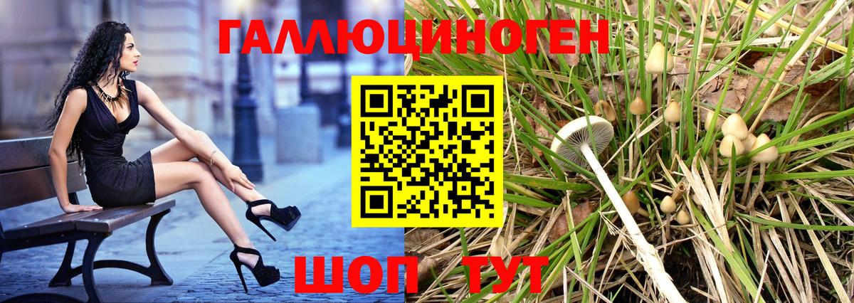 купить наркотики сайты  Вход с VPN  Галлюциногенные грибы MAGIC MUSHROOMS  Салават  Галлюциногенные грибы мицелий 